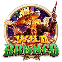 Wild Bronco